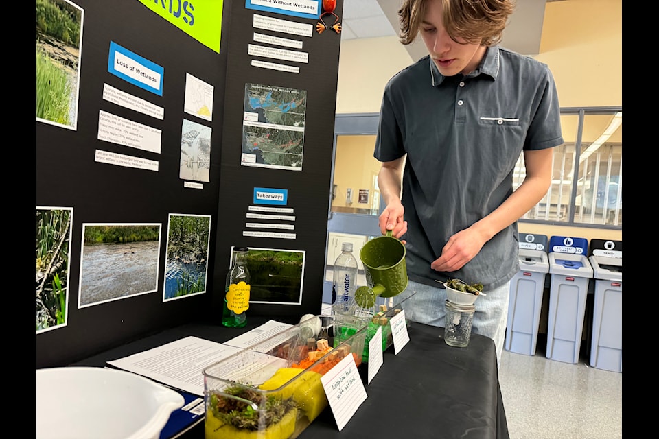 Mission Public School District hosted a science fair at Heritage Park Middle School on Wednesday (March 6) for students ranging from grade four to 12. 