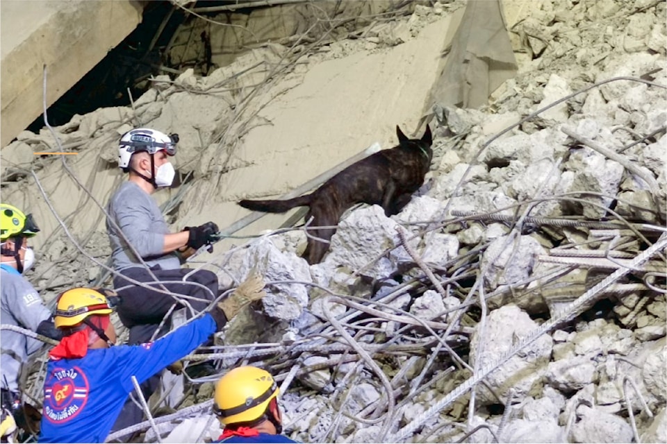 Mission's Andy Krzus and his dog Pele were part of a Burnaby Urban Search and Rescue deployment to Bangkok, Thailand after an earthquake in March. 