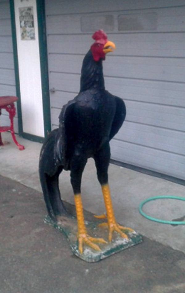 This 5-foot concrete chicken was stolen from a home on Turner Street.
