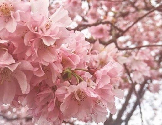 44165BCLN2007ImageuploadedfromiOS