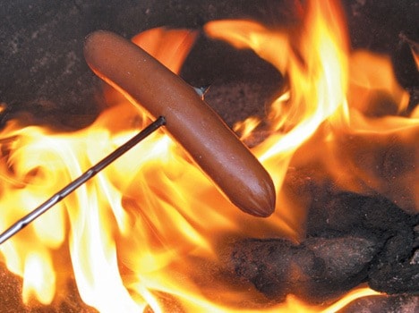 72395missionfirepit-hotdog