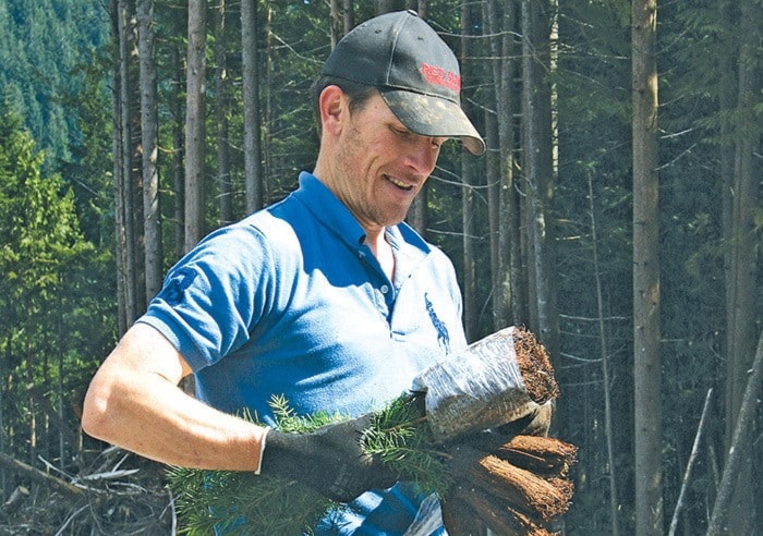 Ian Welsted unwraps some seedlings to be planted in Mission's municpal forest.