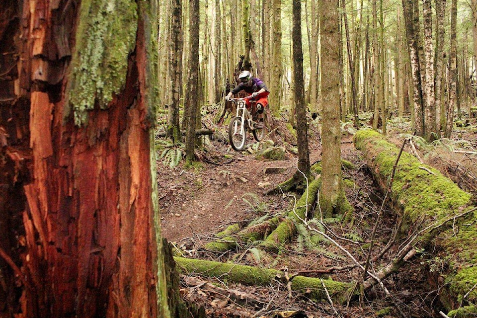 16638299_web1_TRAIL-BIKES