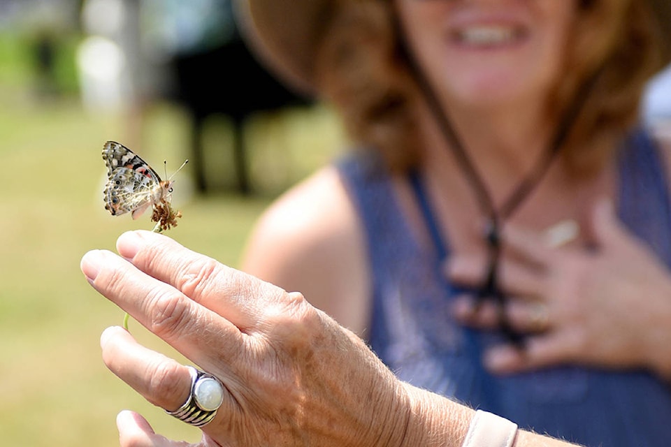 17799392_web1_190724-ABB-Butterfly-release-file_1