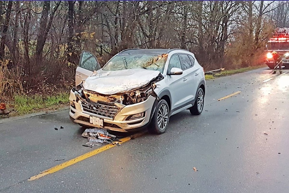 19398153_web1_191115-PAN-M-tree-down-car-damage-contributed