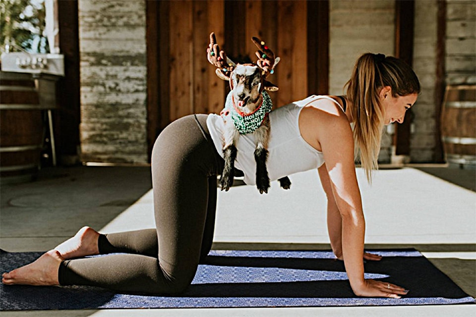 19587690_web1_goat-yoga