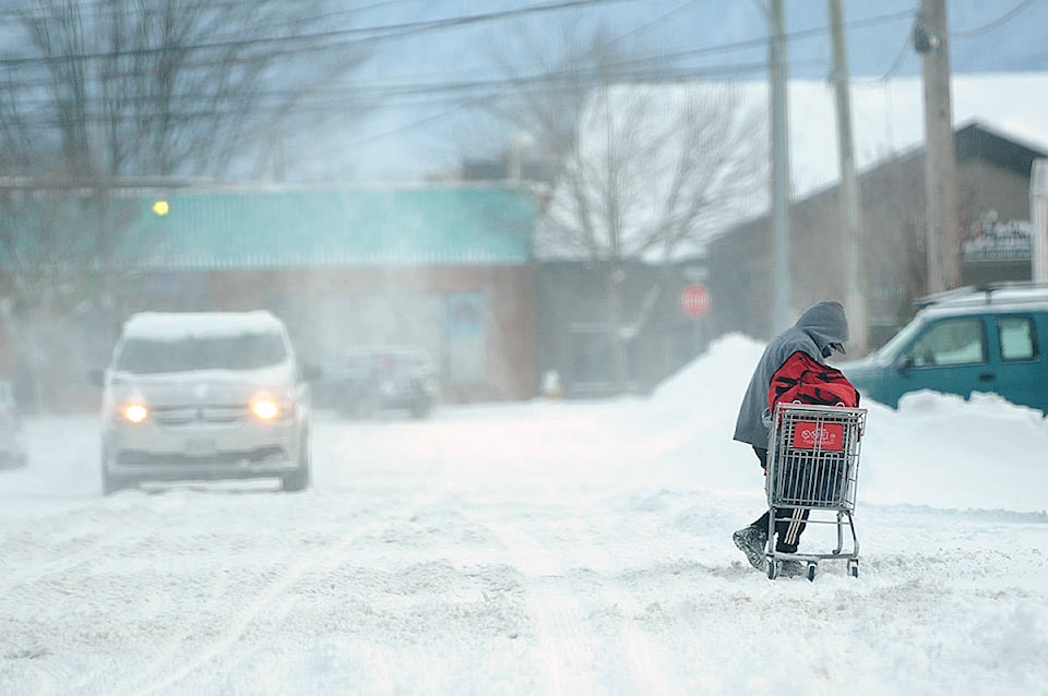 20160222_web1_Snow_Alexander_Shopping_Cart.0115