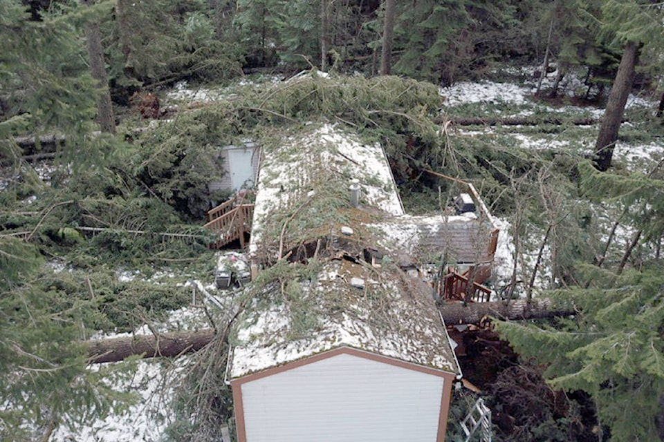 Trees destroyed a Shoreacres home during a wind storm Jan. 13, 2021. Photo: Submitted
