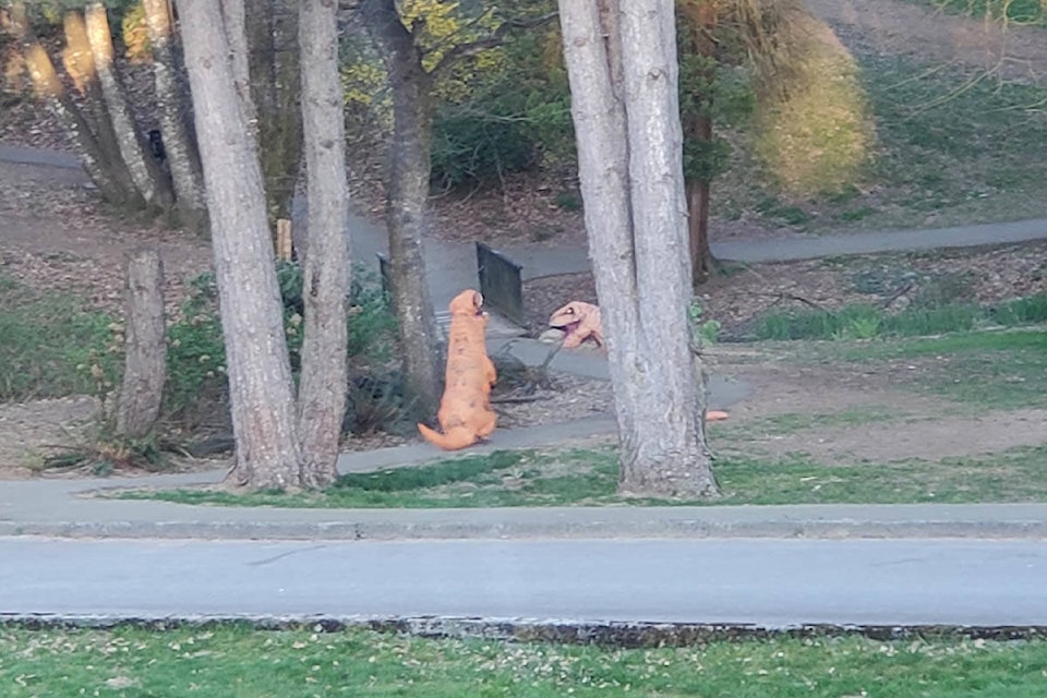 Pack of T-Rexes spotted prowling, shopping in Mission - Mission City Record