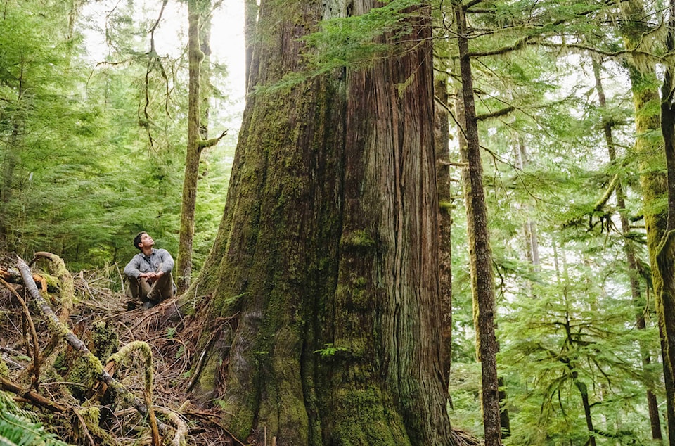 25543123_web1_210408-CCI-caycuse-blockades-logging_1