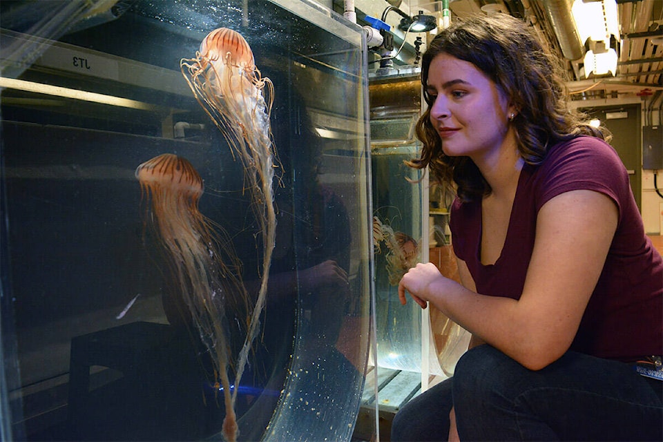 Jessica Schaub will depart for her international tour to study Jellyfish on Wednesday, June 29, 2022. (Vancouver Aquarium photo).
