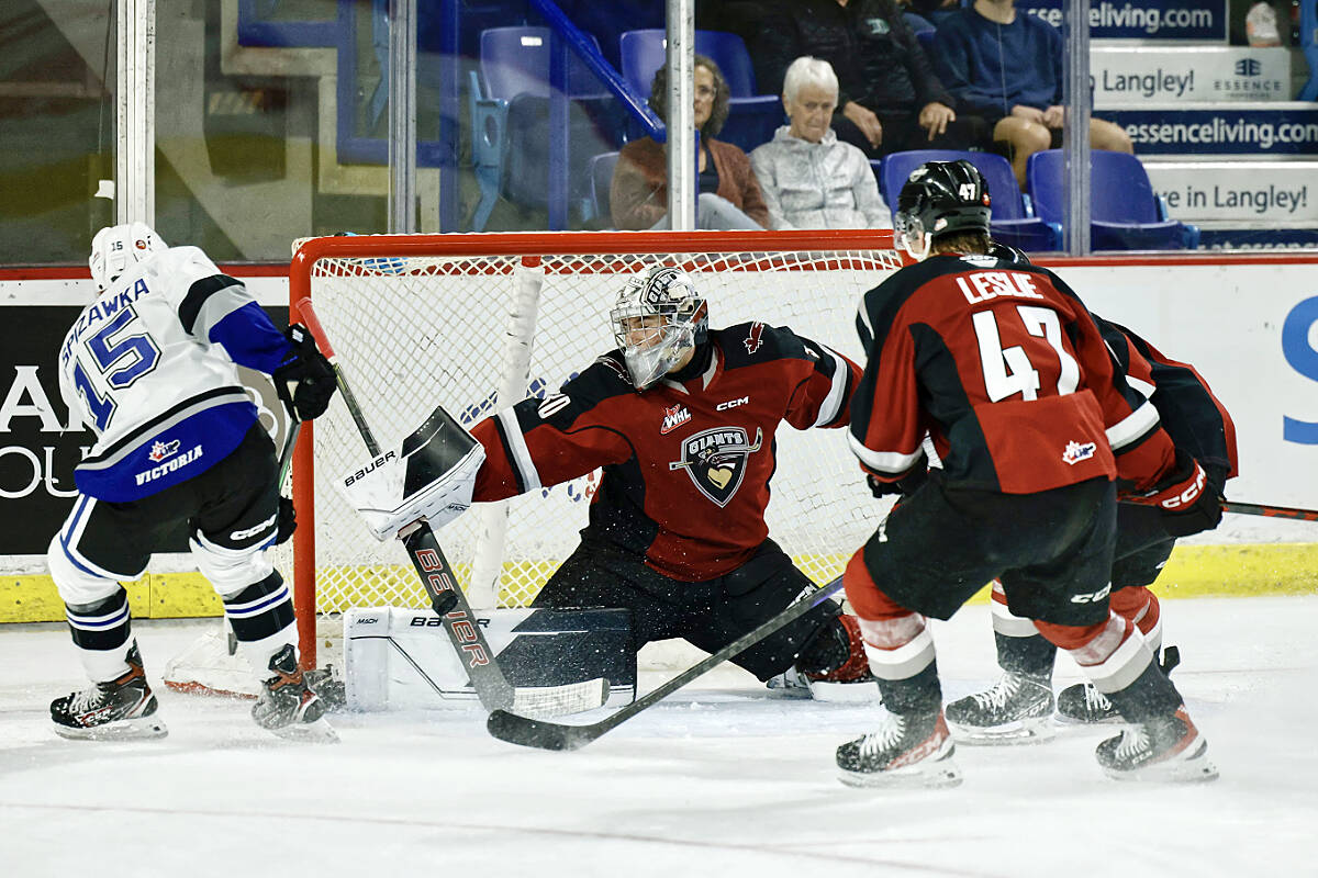 Giants goaltender Jesper Vikman, who was at training camp with the Vegas Golden Knights, returned for the teams first win of the season, a 4-1 home ice victory over Victoria on Friday, Sept. 30 at the Langley Events Centre. (Rob Wilton/Special to Langley Advance Times)