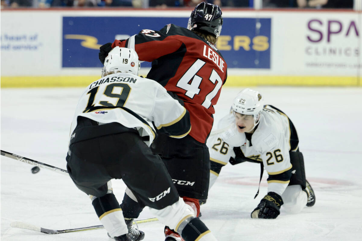 Mazden Leslie tangled with a Wheat Kings player Friday night, Oct. 14 at Langley Events Centre. Brandon won 4-2. (Rob Wilton/Special to Langley Advance Times)