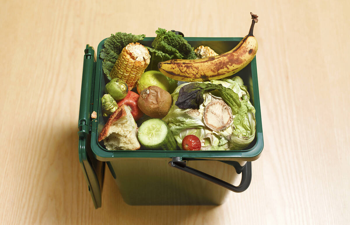 For residents in a condo, apartment, or townhouse, does your building have a compost bin? If it doesnt, talk to your building manager or strata about it.