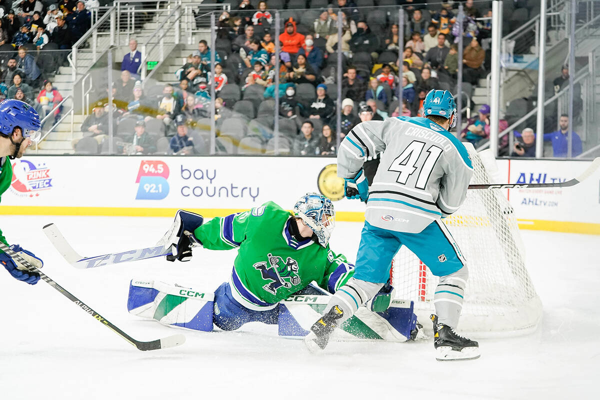 Abbotsford Canucks on X: Christian Wolanin picks up three points, Nils  Höglander scores the winner in Abbotsford's 3-2 comeback victory over San  Jose on Friday night. Read the full game recap here