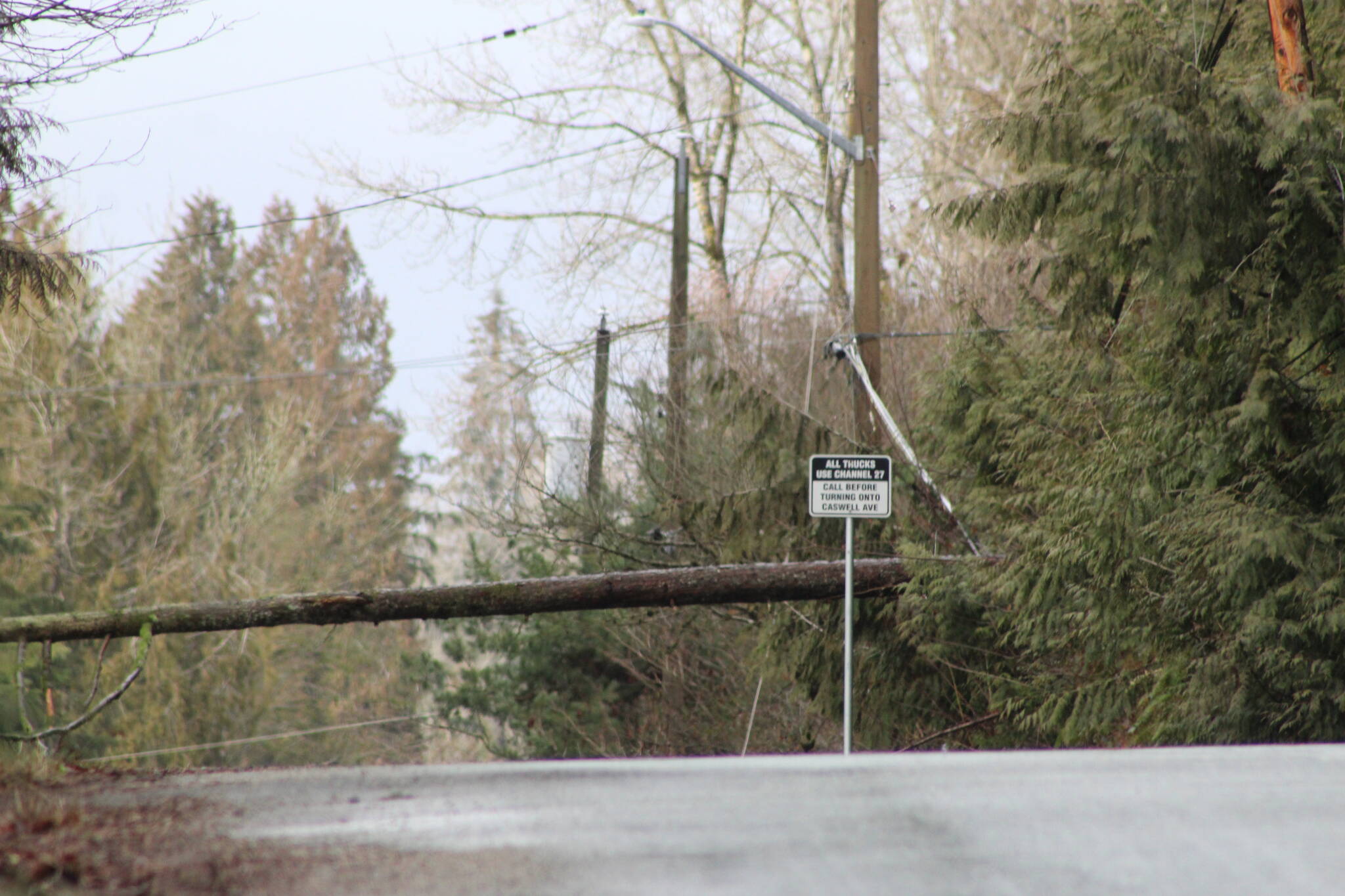 Tree hits power line and causes fire in Mission Mission City Record