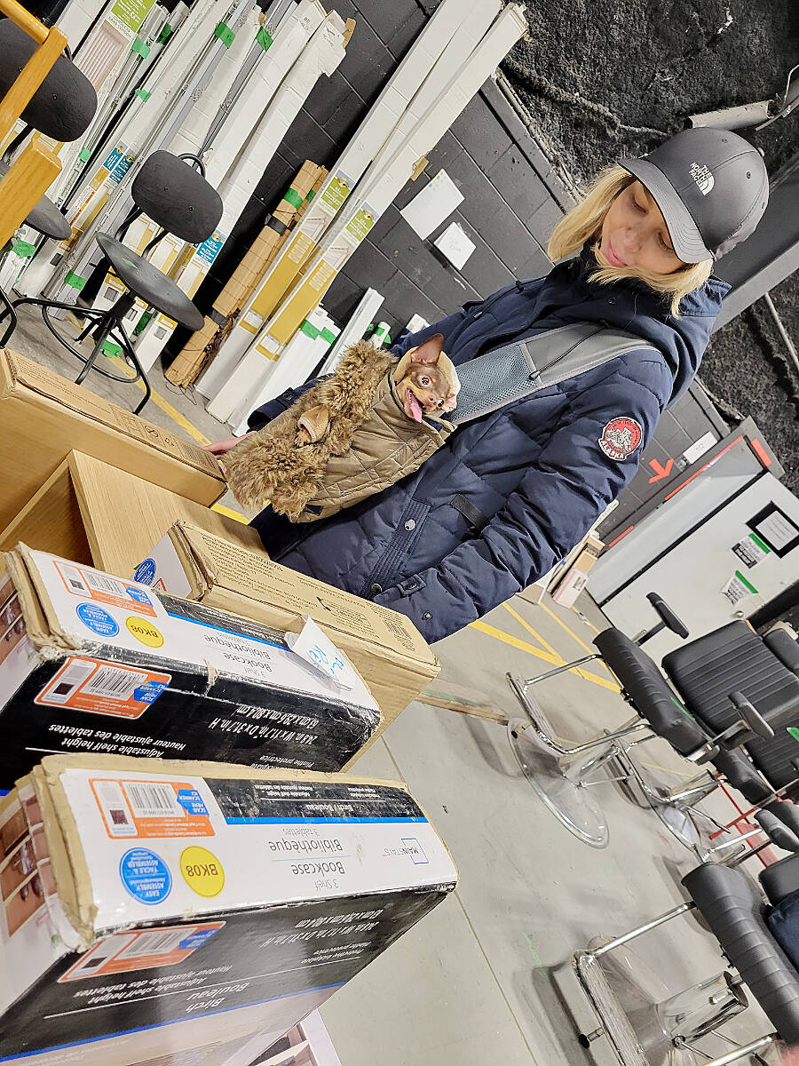 A buyer, and her puppy, were sniffing out bargains at the movie set sale held in Lumiere Film Studios in Langley on Saturday, Feb. 11. (Dan Ferguson/Langley Advance Times)