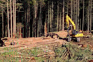 Mission forestry stays profitable with challenges ahead