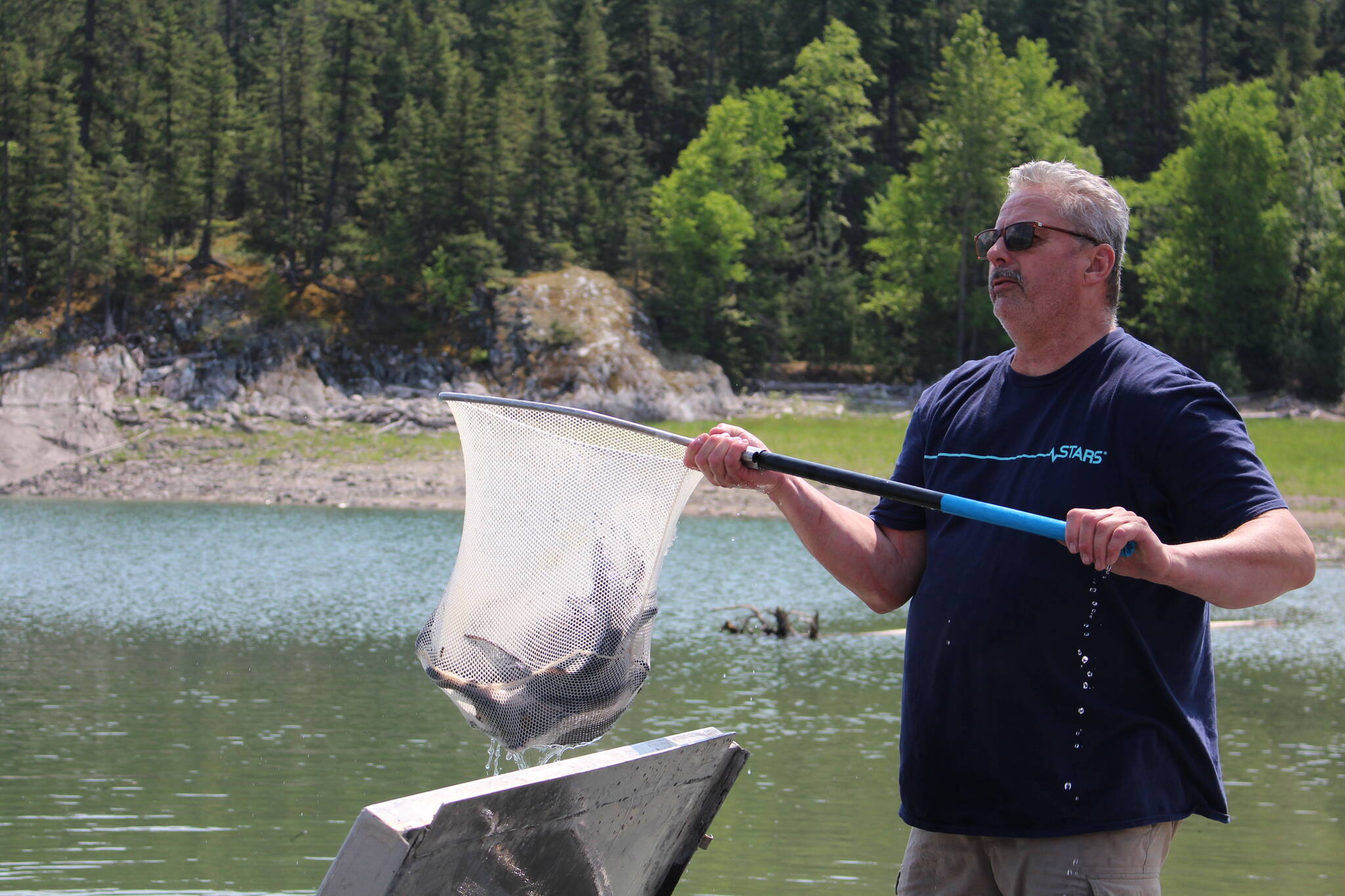 Releasing sturgeon into the Arrow Lakes at Shelter Bay Provincial Park. (Josh Piercey/Revelstoke Review)