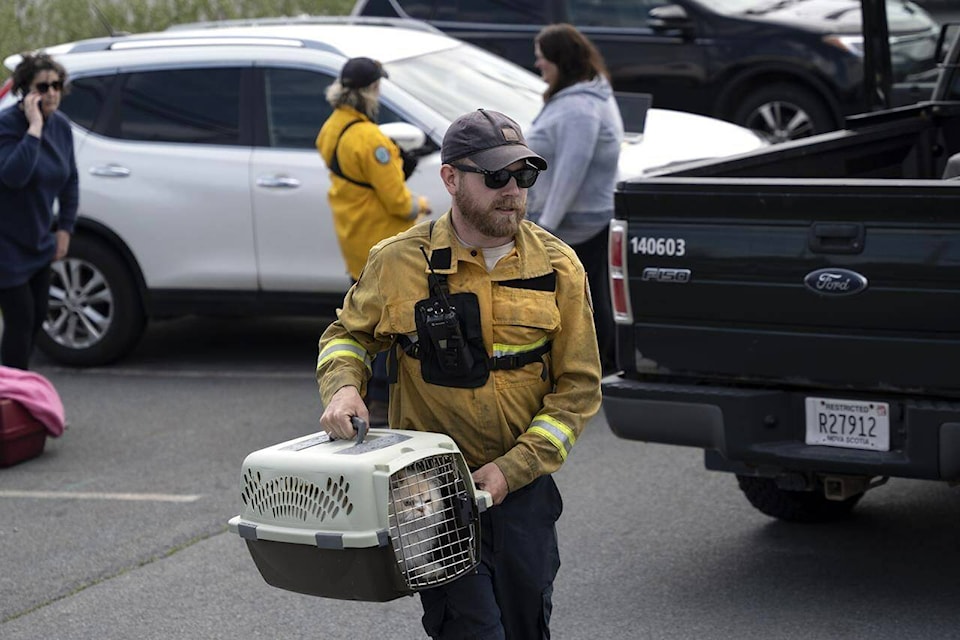 Patrick MacLennan with the Department of Natural Resources carries a cat rescued from the evacuated zone of the wildfire burning in Tantallon, N.S., outside of Halifax on Monday, May 29, 2023. THE CANADIAN PRESS/Darren Calabrese
