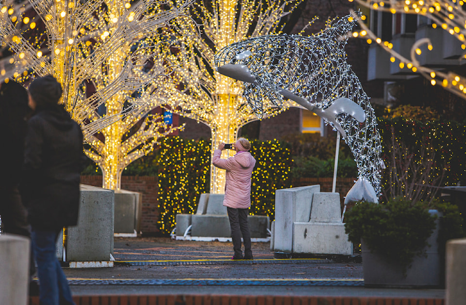 240110-vne-christmas-lights-wonder_1