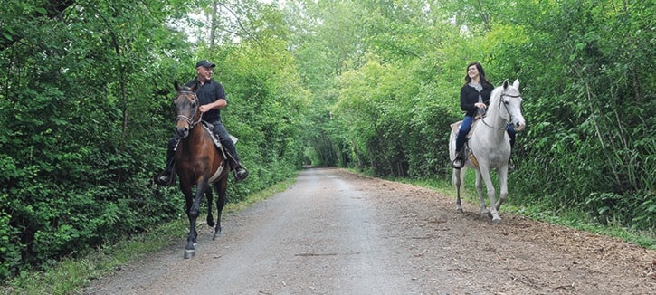 Horse Riding West Coast Wild 8