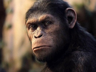7577mondaymagRise_of_the_Planet_of_the_Apes-18