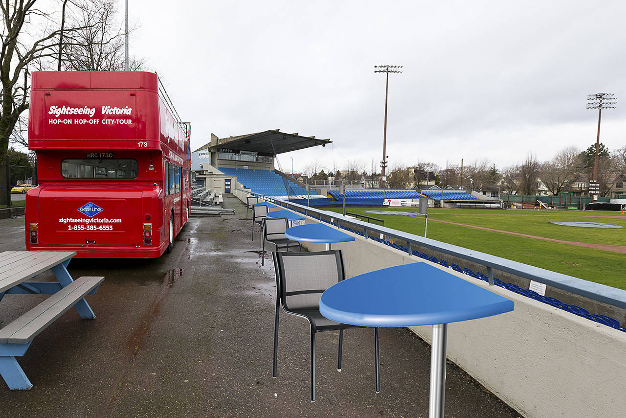 11139221_web1_1803021-HarbourCats-Wilsons-bus-AL-002