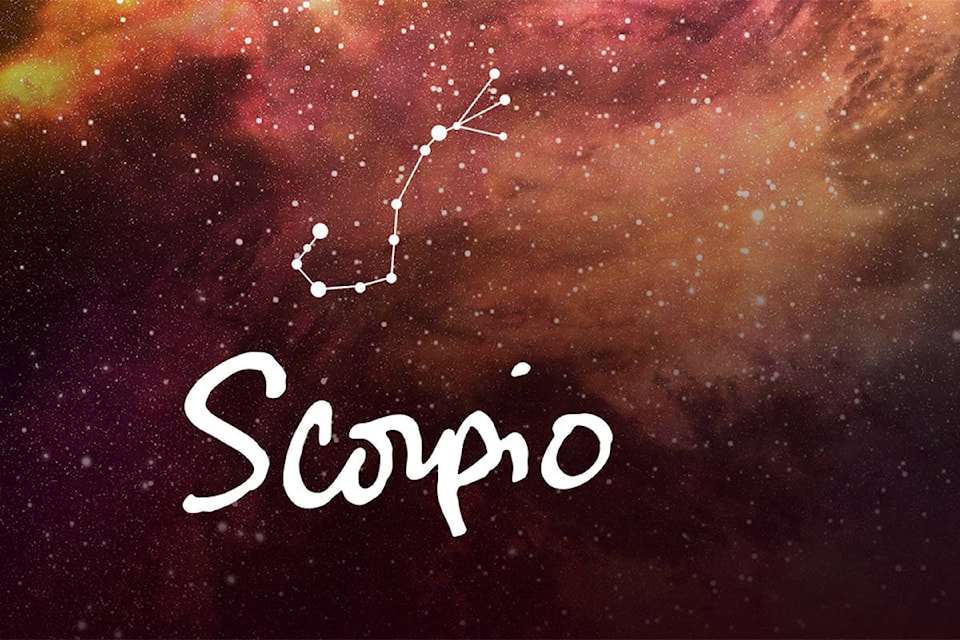 19099555_web1_copy_MMA-Scorpio