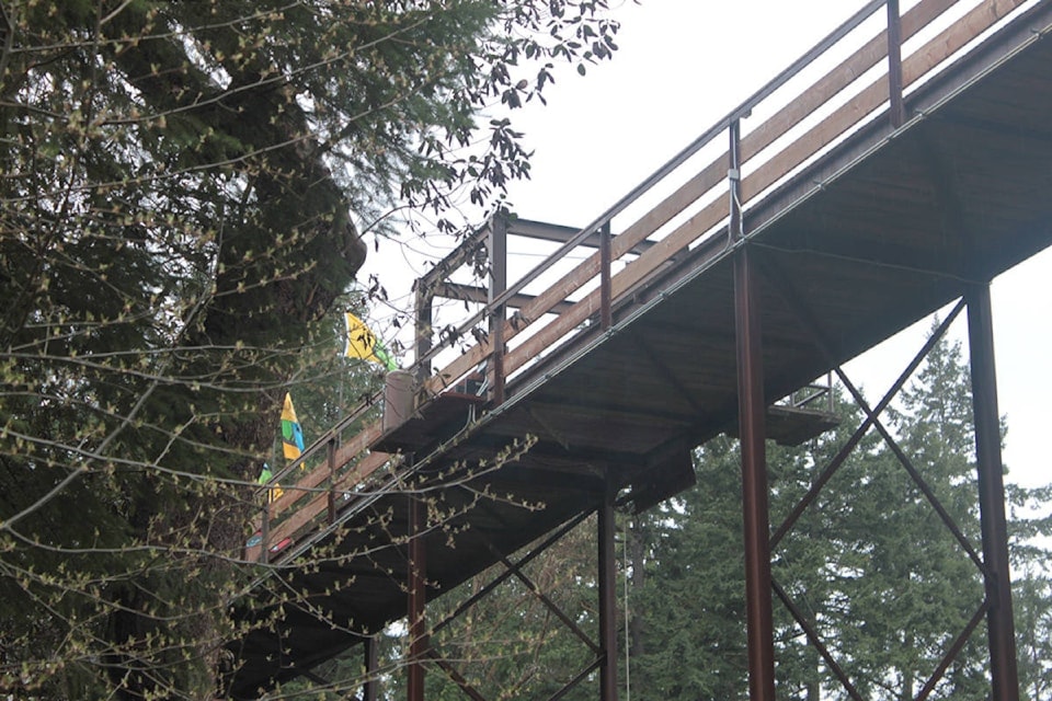 01-bungy_1