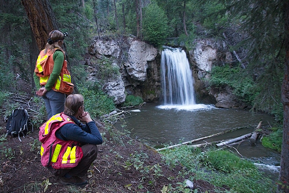 Paul Levesque and Christine Rock survey Clinton Falls for a black swift nest. (Photo by Leslie Bol)