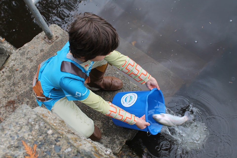 Easton Currie, dressed as Link from Zelda, releases a trout into the lower reservoir at Colliery Dam Park.