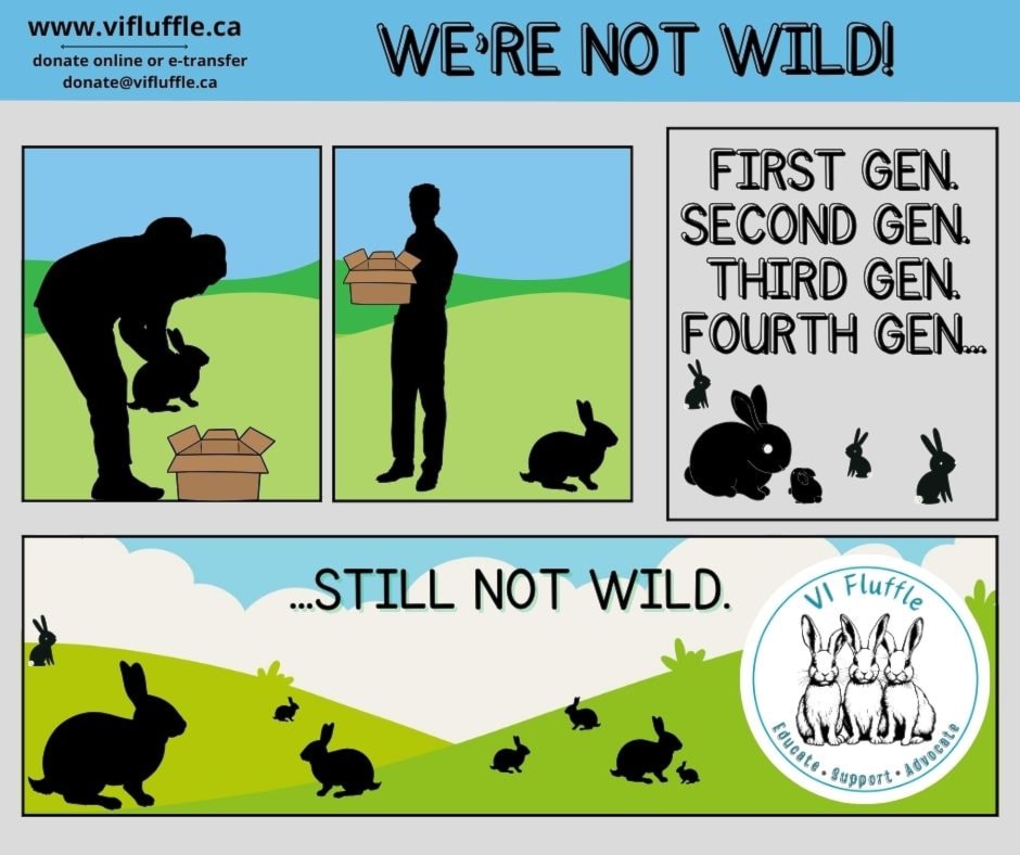 im-not-wild-facebook-post-1