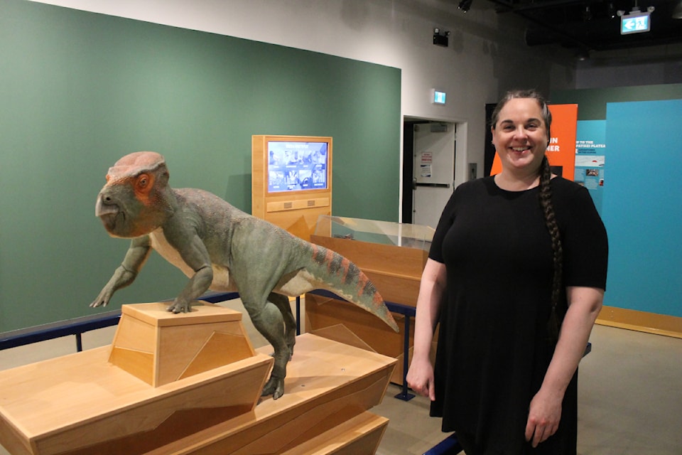 Aimee Greenaway, Nanaimo Museum's curator, stands with the life-size replica of Buster, "the Iron Lizard from the Sustut River."  (Jessica Durling/News Bulletin)