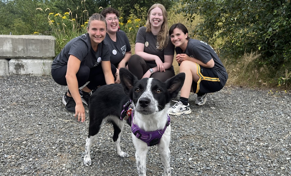 bcspca-edited