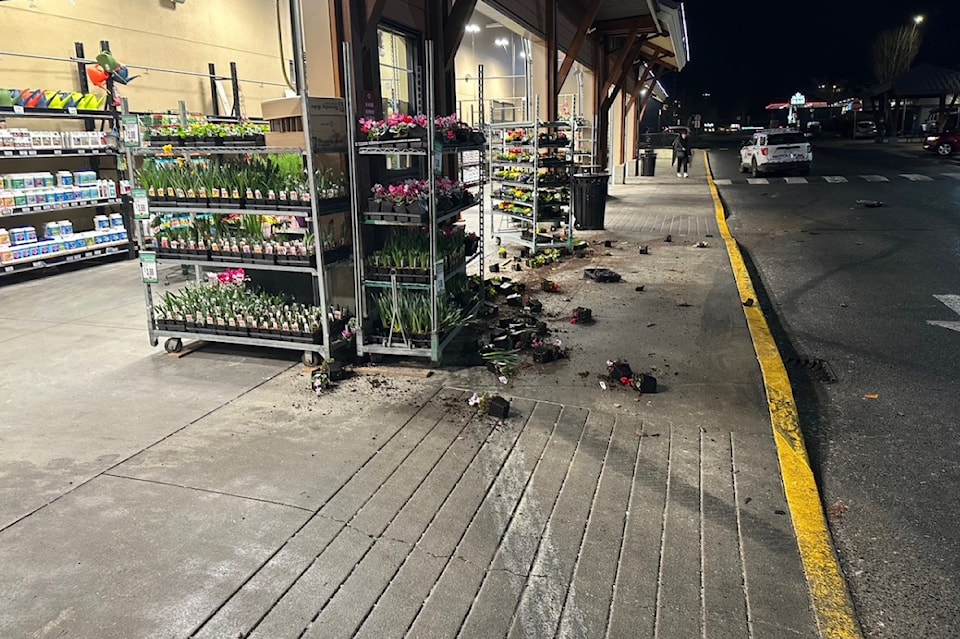 250130-nbu-damage-to-front-of-grocery-store