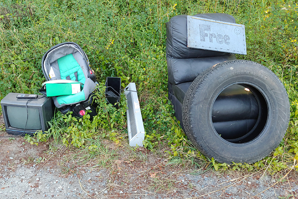 250714-nbu-roadside-freebies-20220728_185012