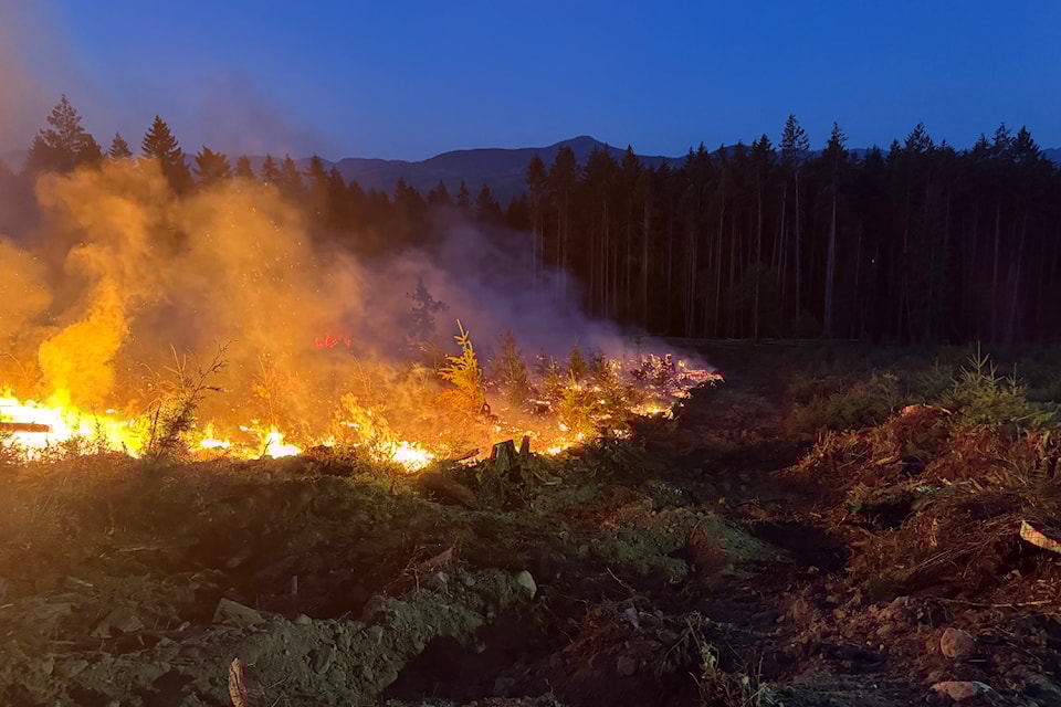 A wildfire is burning southwest of Nanaimo. (B.C. Wildfire Service photo)