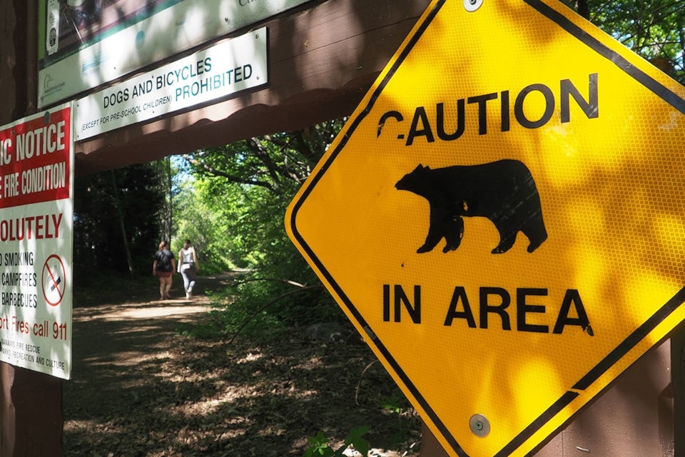 bears-and-psa-_1