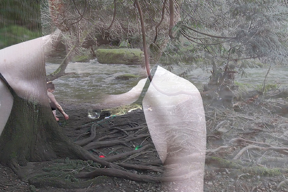 An image from 'Quantum Conversation II Traces The Other Within,' a video installation that will be set up at Bowen Park as part of this year's Infringing Dance Festival. (Image submitted)