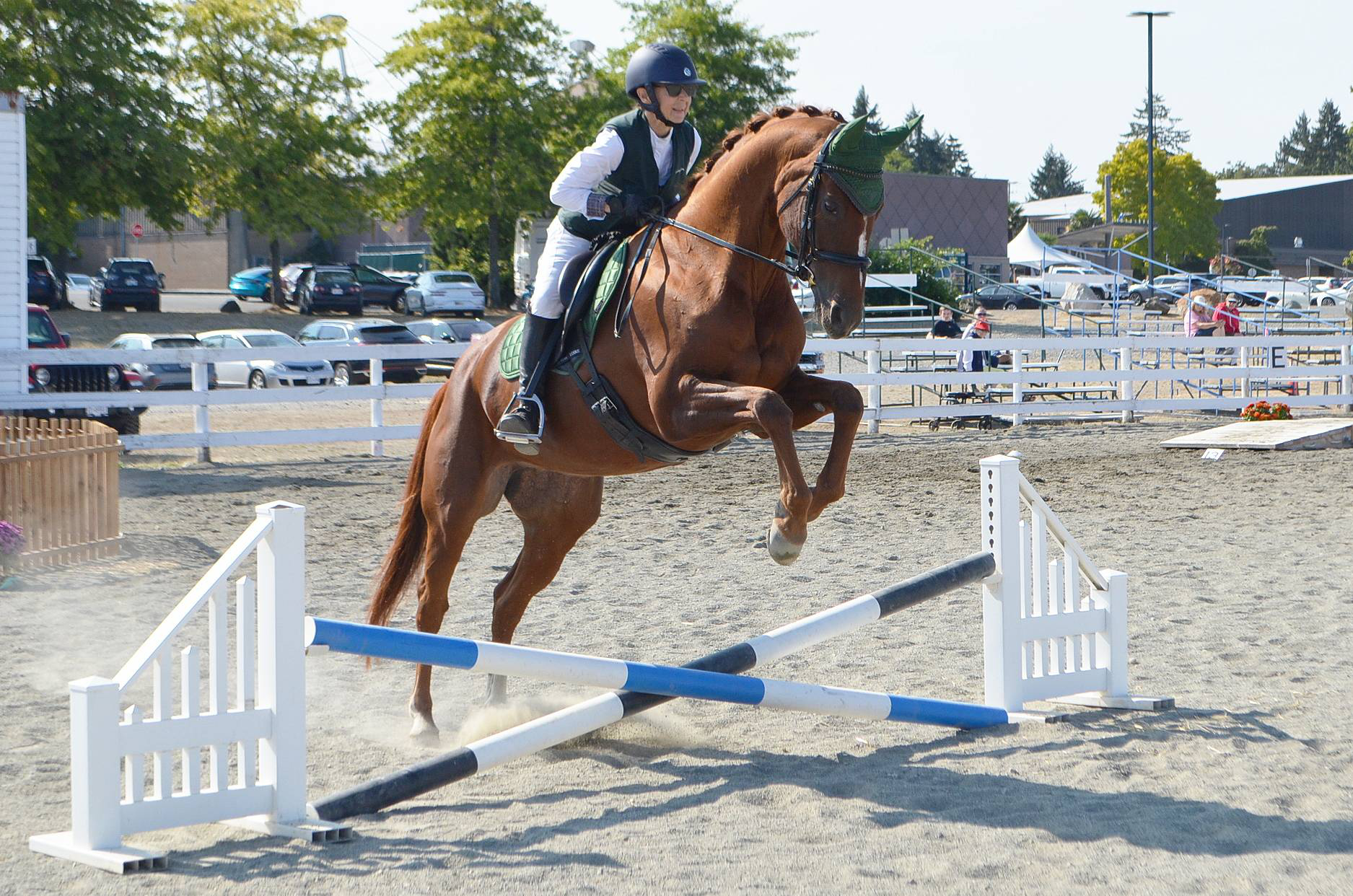 Riders and horses combine for team spirit at 55-Plus B.C. Games in Nanaimo