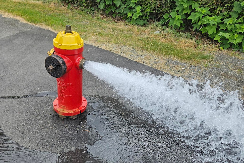 edited-fire-hydrant-vandalism