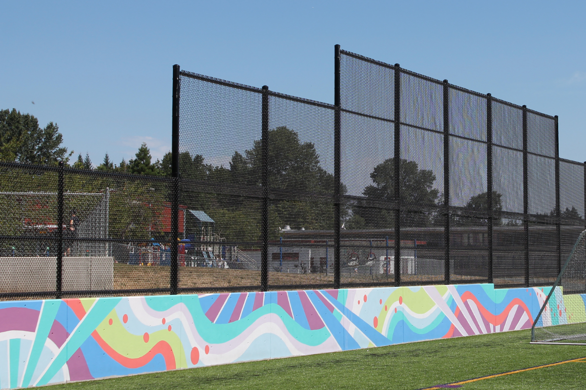 Harewood Centennial Park fields sport 'vibrant' new murals