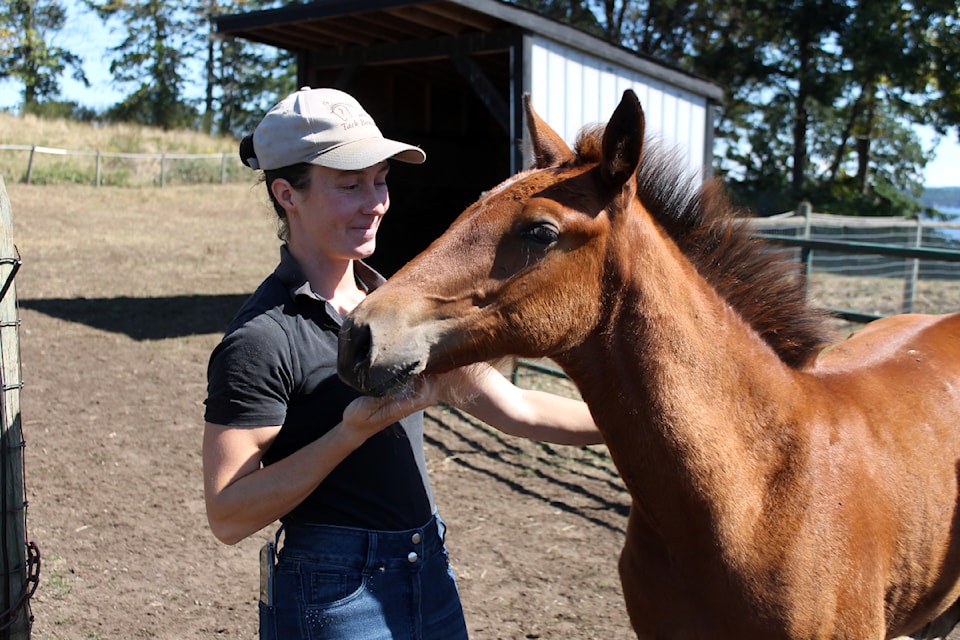Luna Poole, Seaspray Stables' barn manager, pets Alexia, nicknamed Salsa. (Jessica Durling/News Bulletin)