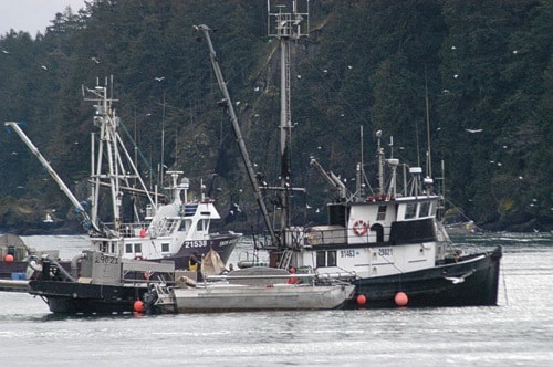 76401nanaimoHerringboats_DSC_9169