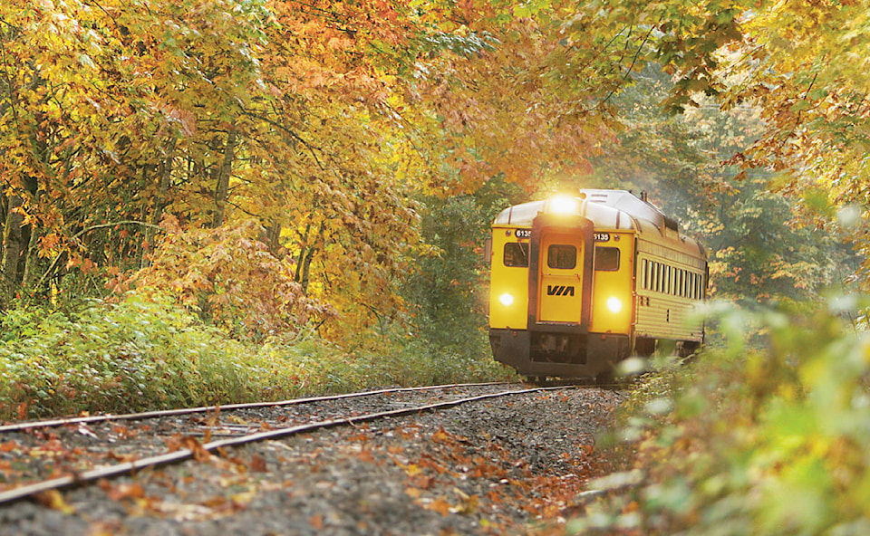 9315453_web1_VIA-Rail-Train-in-Woods-Cowichan-Valley-Citizen-Photo