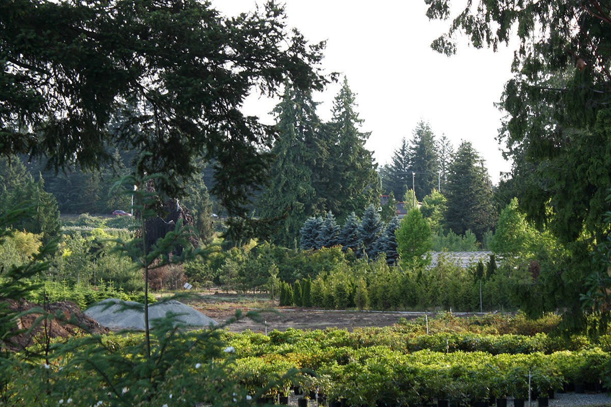 Nanaimo nursery property sells in historic deal Nanaimo News Bulletin
