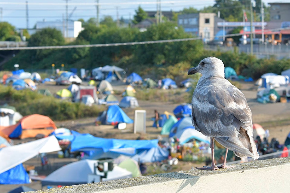 13174993_web1_180816-NBU-letter-tent-city-protest_1