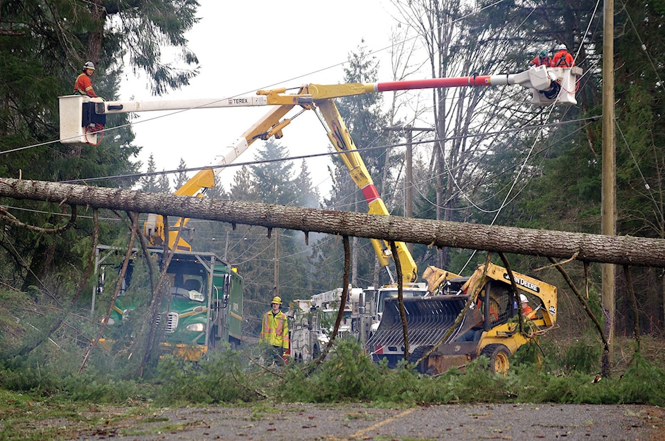 14916358_web1_181227-NBU-Hydro-Lines-Nanaimo-River-Road---IMGP1132