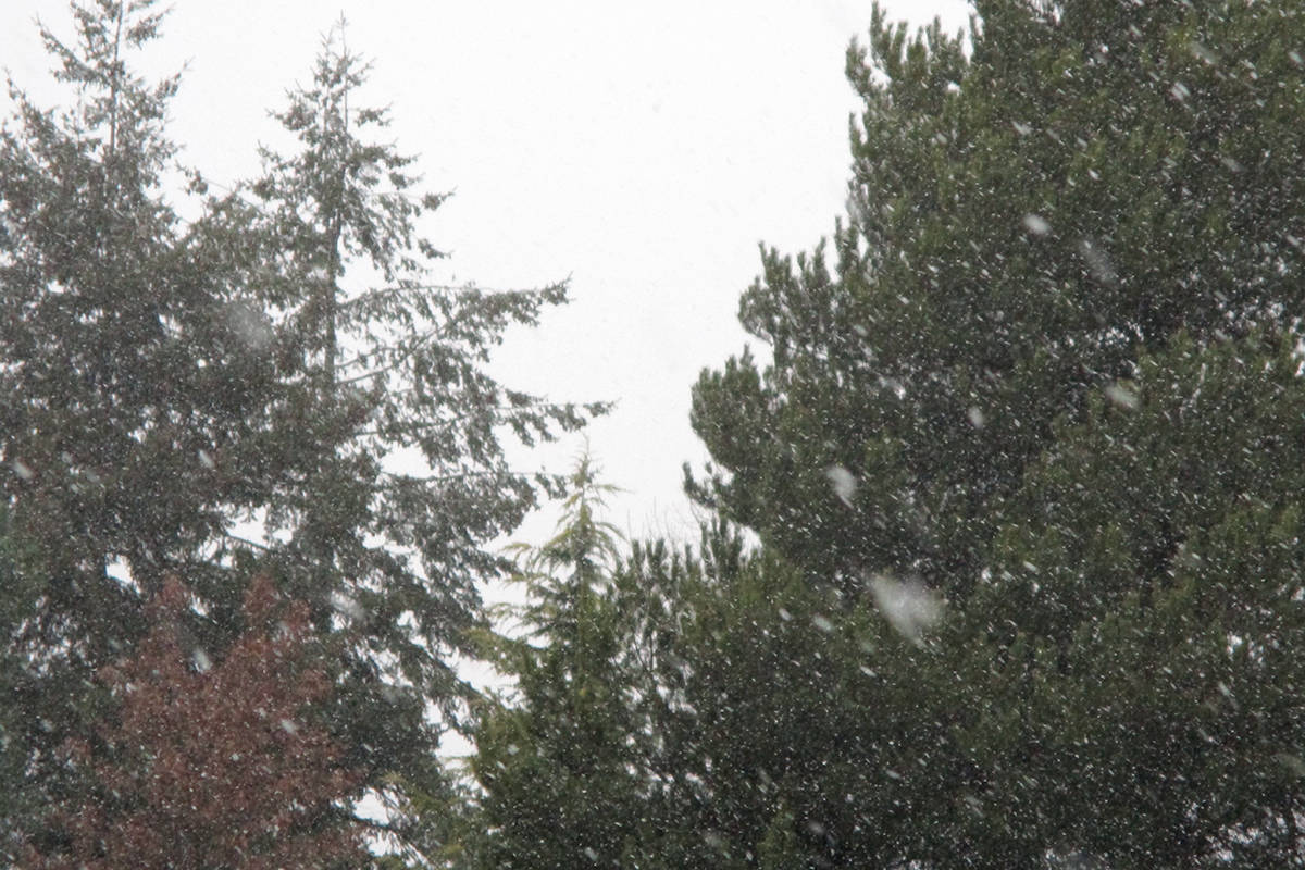 Snowfall expected to continue throughout the day in Nanaimo Nanaimo